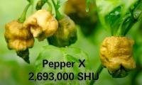 Pepper X